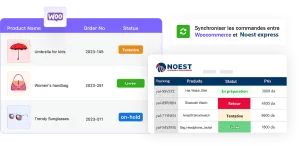 Noest plugin wordpress